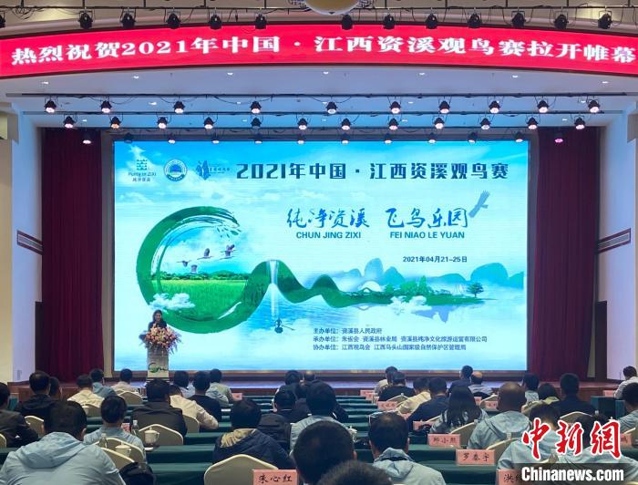 2021年中國·江西資溪觀鳥賽開幕 進一步摸清鳥類資源“家底”