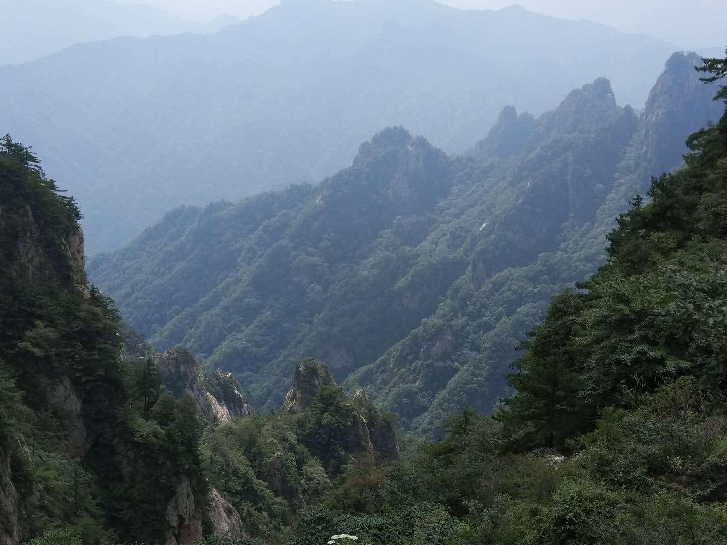 《中國科學院生物資源目錄》發布 促進生物資源數據的集成